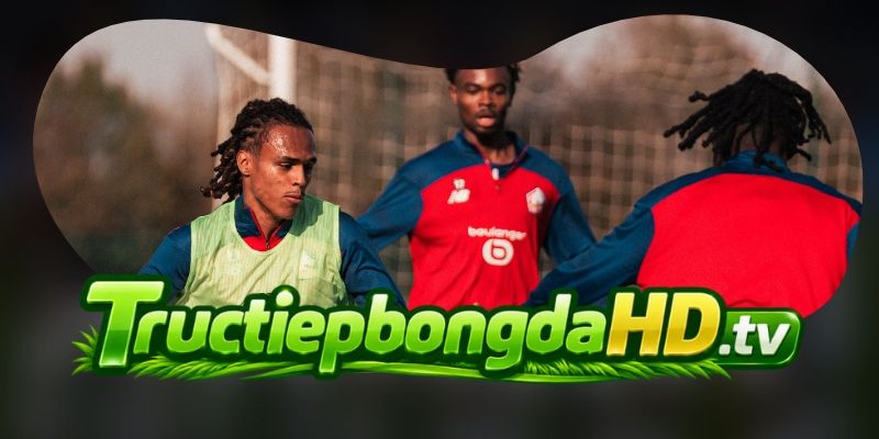 Gợi ý chốt kèo tổng hợp trận FK Bodo/Glimt vs LOSC Lille ngày 04/11